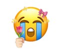 Happiness and emotions