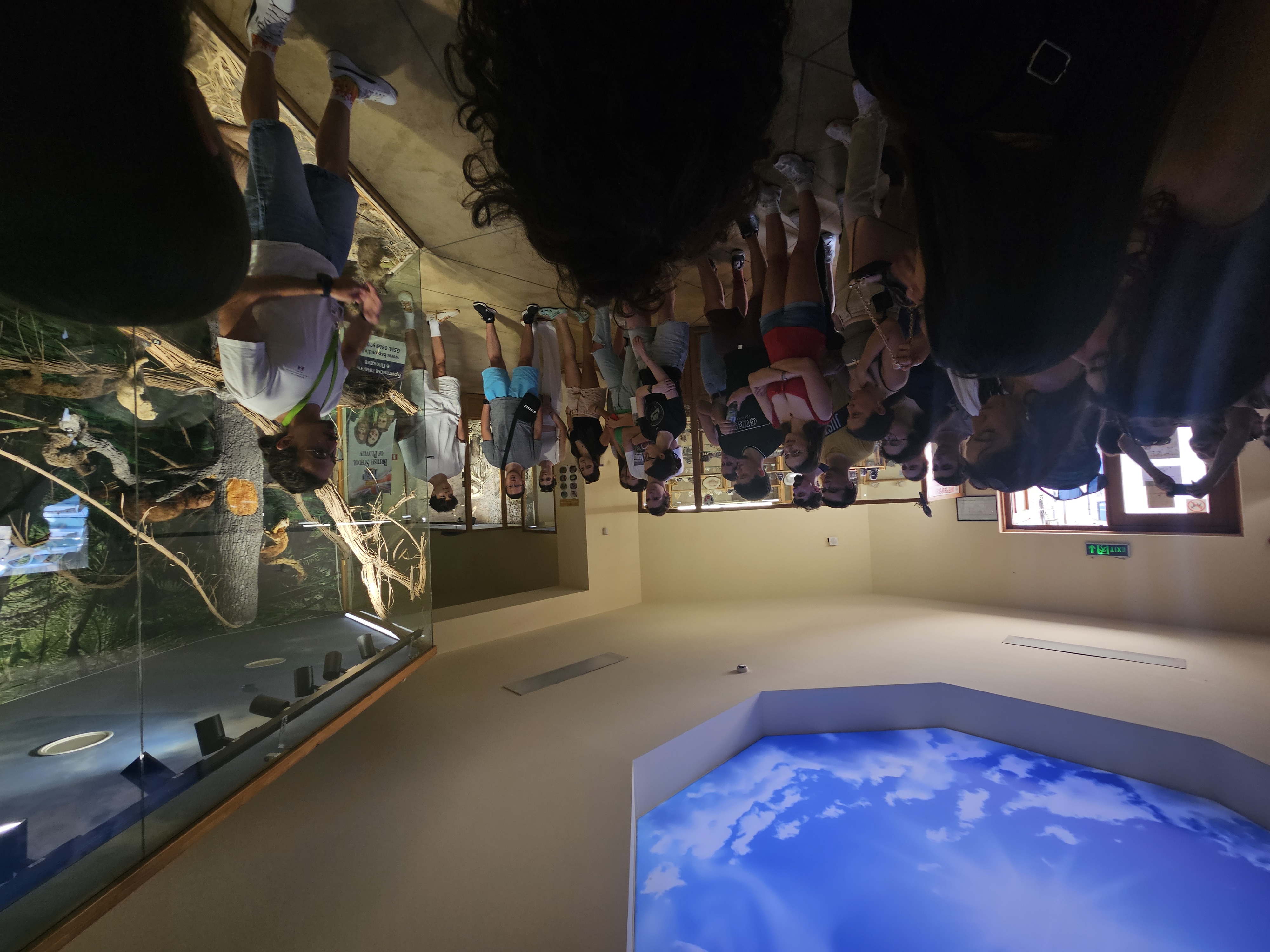 Sustainability and fieldwork during the Earth YE project
