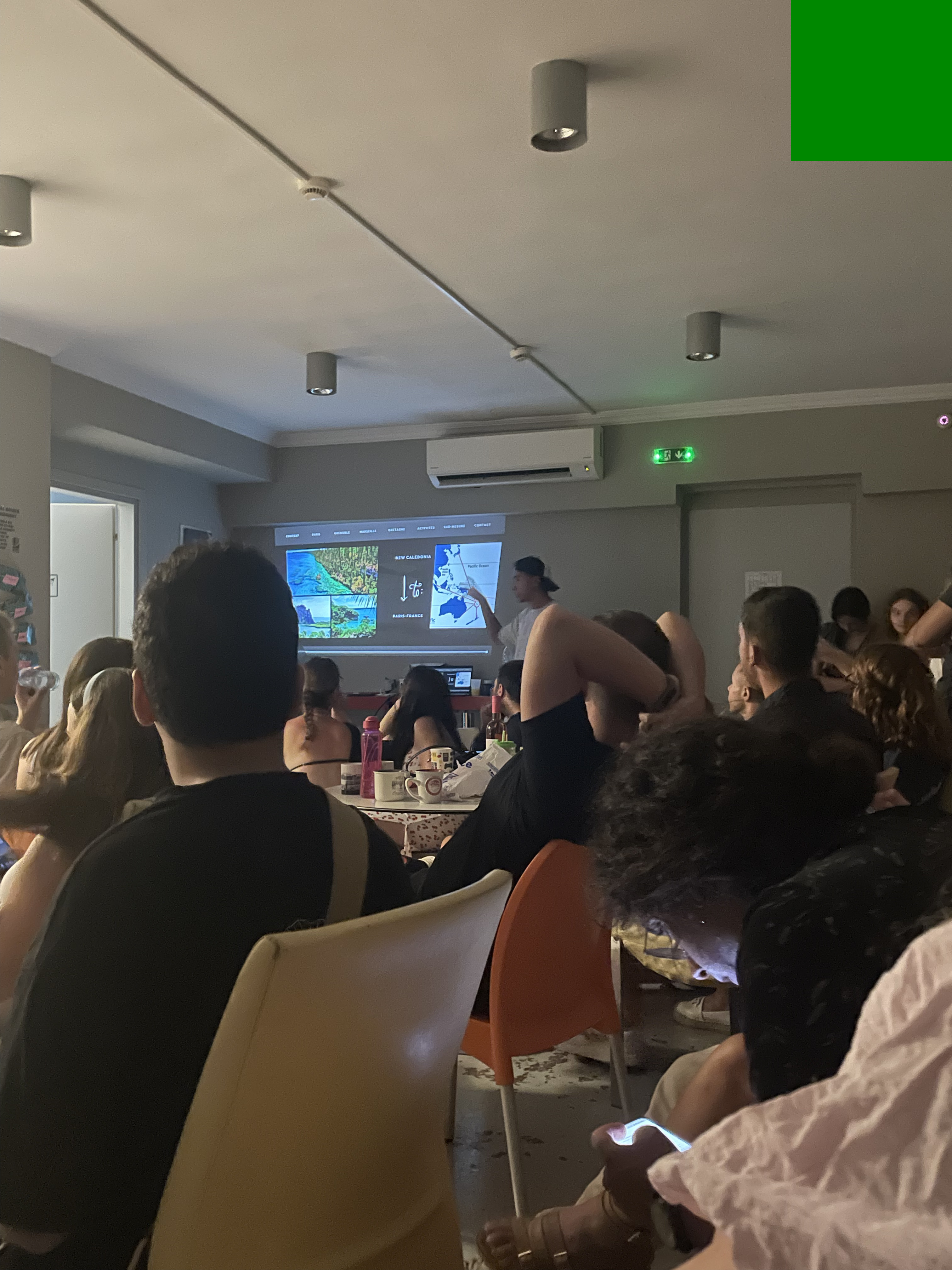 Workshop activity during the Green Is the Future project